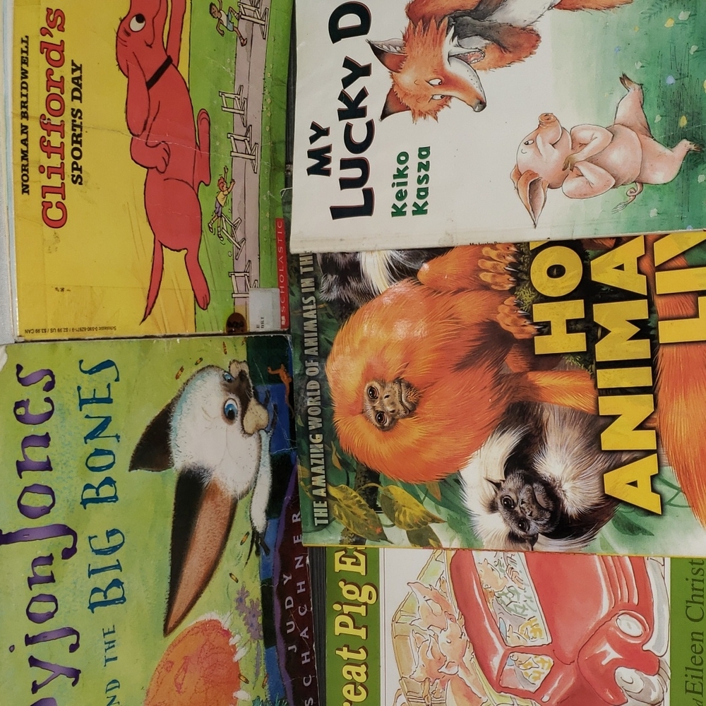 5 Scholastic Soft Cover Books Loved Played With Condition.